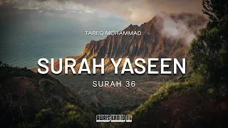 Surah Yasin (Yaseen) | القارىٔ طارق محمد Beautiful Voice @islamicvideos.a.r