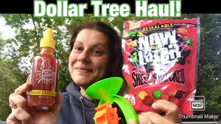 DOLLAR TREE HAUL & FRIENDMAIL! 💜