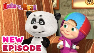 Masha and the Bear 💥🎬 NEW EPISODE! 🎬💥 Best cartoon collection 🎪 Variety Show