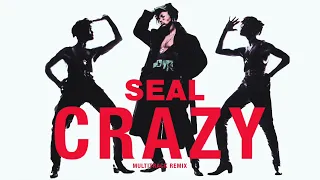 Seal - Crazy (Extended 90s Multitrack Version) (BodyAlive Remix)