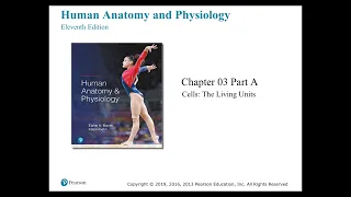 Anatomy and Physiology Chapter 3 Cells Part A