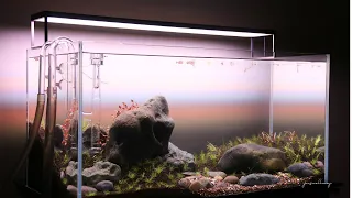 " Riverside Iwagumi " ADA 90P aquascape step by step setup Part 2: Planting