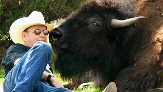 Friend with a buffalo