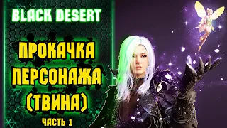 Прокачка Персонажа (твина). Зачем нужны твины. Часть 1. Black Desert.