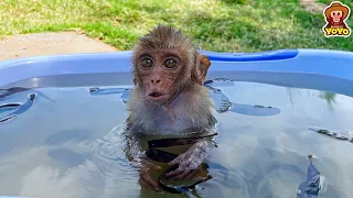 Monkey YiYi so happy when grandpa cooks special bath water for her