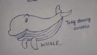 Whale drawing today