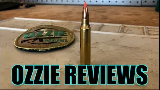 Beginner Basics #16 The 223 Remington Caliber (pros/cons)