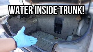 How To Fix Water Leak Inside The Trunk