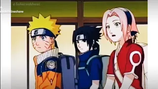 Learn to meow sasuke jealous