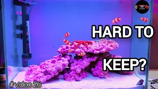 Keeping A saltwater aquarium (marine fish)is EASY!!!! Nano marine tank setup #video26 kolkata