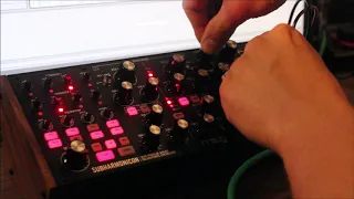 Moog Subharmonicon