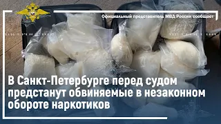 Ирина Волк: В Санкт-Петербурге перед судом предстанут обвиняемые в незаконном обороте наркотиков