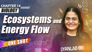 One Shot Lecture | Chp -14 | Ecosystem & Energy Flow | Gyanlab | Anjali Patel #oneshotlecture