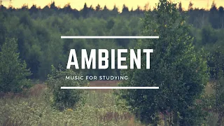 Deep Focus Ambient Study 24/7, Deep Focus Ambient Study Music Best For You