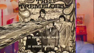 The Tremeloes / De Repente.Tu Me Amas & De Repente Es Invierno  1967  ..