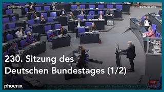 230. Sitzung des Deutschen Bundestages