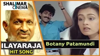 Mestro Ilayaraja Hit Song || Shiva Movie || Botany Patamundi Video Song || Nagarjuna, Amala