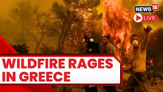 Greece Wildfire 2023 LIVE | Thousands Evacuated From Greek Island Of Rhodes | Greece News LIVE