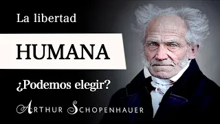 ¿ERES LIBRE? (Arthur Schopenhauer) - Filosofía del LIBRE ALBEDRÍO y la VOLUNTAD HUMANA [Parte I]