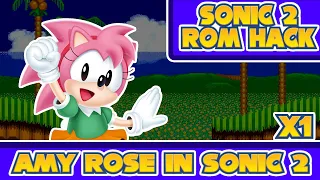 Amy Rose In Sonic The Hedgehog 2 | Sonic 2 Rom Hack Showcase