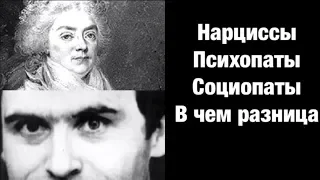 Нарциссы Психопаты Социопаты В чем разница.