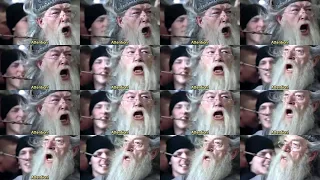"Attention!" - 1 Million Times - Dumbledore - [Harry Potter and the Goblet of Fire]