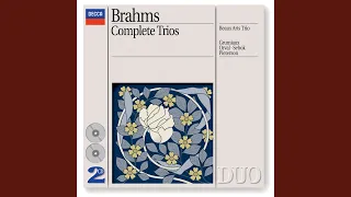 Brahms: Horn Trio In E Flat, Op. 40 - 1. Andante - Poco più animato