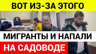 Главная причина массового столкновения между мигрантами и силовиками в Садоводе