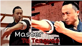 MASTER TU TENGYAO NEXT WINGCHUN METHODS #wingchun #tutengyao