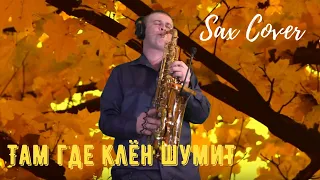 Сергей Дроздов / Синяя птица - Там где клен шумит ( cover by Amigoiga sax )