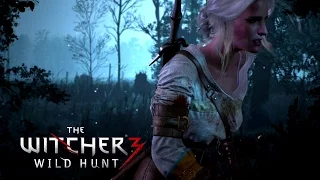 The Witcher 3: Wild Hunt Tribute 'You'll Find Me' [HD]