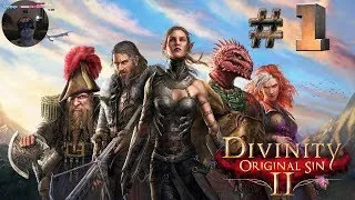 Divinity: Original Sin 2 — Начинаем проходить #1