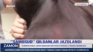 "Samosud" qilganlar jazolandi