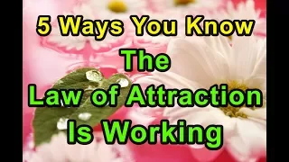 5 Ways to Know the Law of Attraction Is Working for You