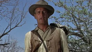 Paul Newman - HOMBRE (1967) Scenes | A Drama of the Good, the Bad and the Ugly