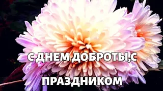 Доброе утро,с днем доброты.Всемирный день доброты.