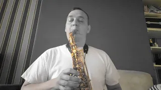 LuckySAX - Позови меня с собой (Алла Пугачева, Анатолий TSOY cover version), на саксофоне со словами