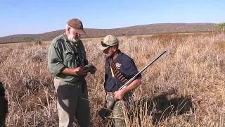 Superior bird hunting South Africa
