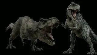 rexy vs random