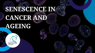 Senescence lifecycle in cancer & ageing - Dr Masashi Narita; Cancer Research UK Cambridge Institute