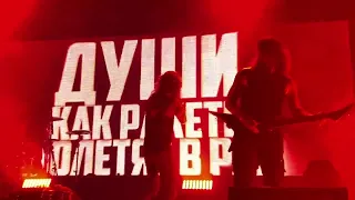 Amatory - Космо камикадзе 29 10 22 Екатеринбург