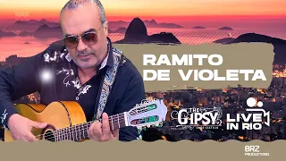 Chico Castillo - Ramito de Violeta ( Live in Rio )