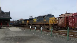 palmer rail videos nov 27 2023