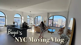 NYC Moving Vlog | 이사했어요! Move-in to our APT with us I Furniture Shopping l Poliform l Molteni l Dior