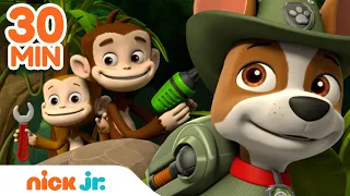 PAW Patrol Jungle Rescues w/ Tracker! 🐵 | 30 Minute Compilation | Nick Jr.