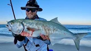 Casting the surf gutters for tailor (Catch & Clean)