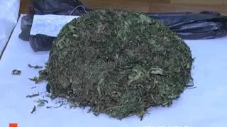 На Рівненщині у молодика вилучили понад два кілограми марихуани