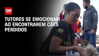 Tutores se emocionam ao encontrarem cães perdidos | CNN Prime Time