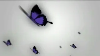 Persona "Let The Butterflies spread Until The Dawn" Lyrics