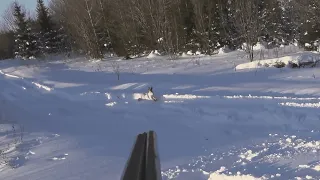 Охота на зайца троплением. Мой первый заяц.